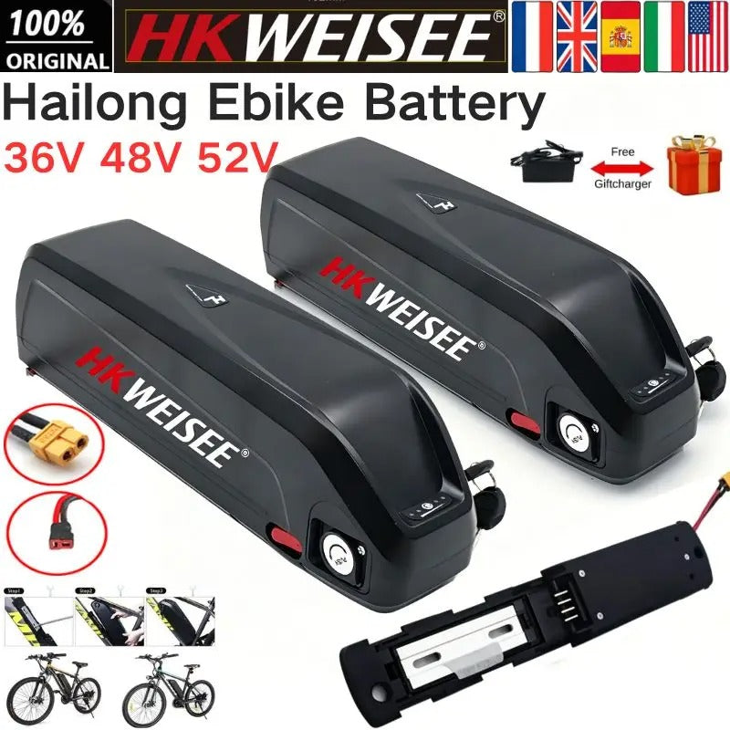 Hailong E bike Charge