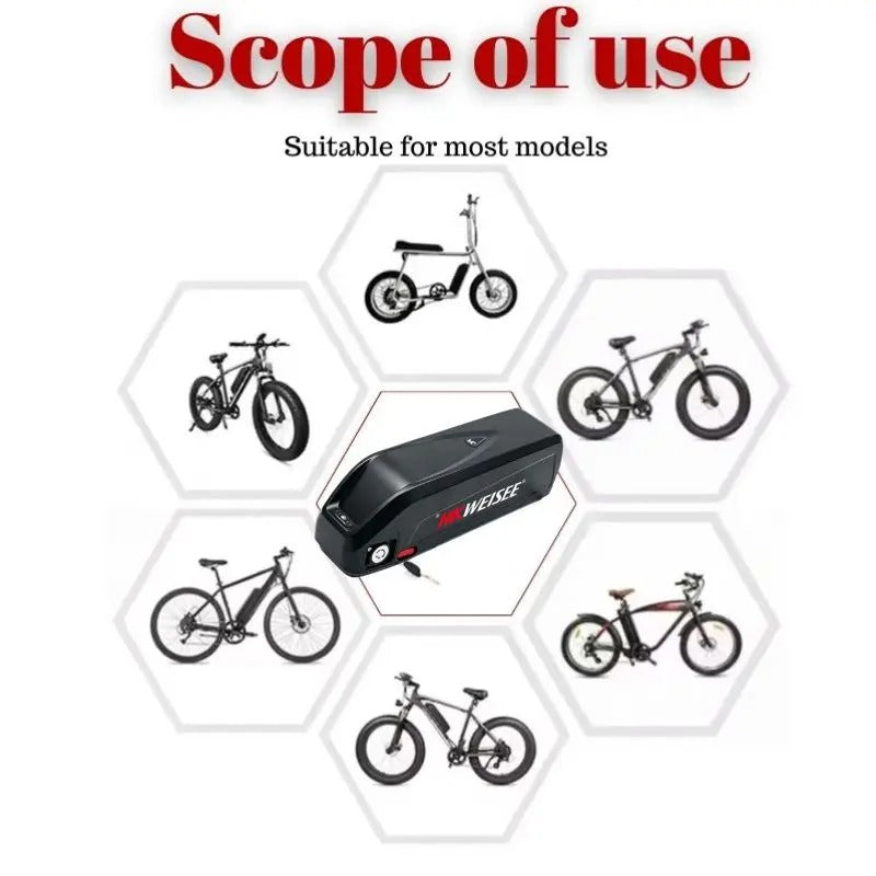 Hailong E bike Charge